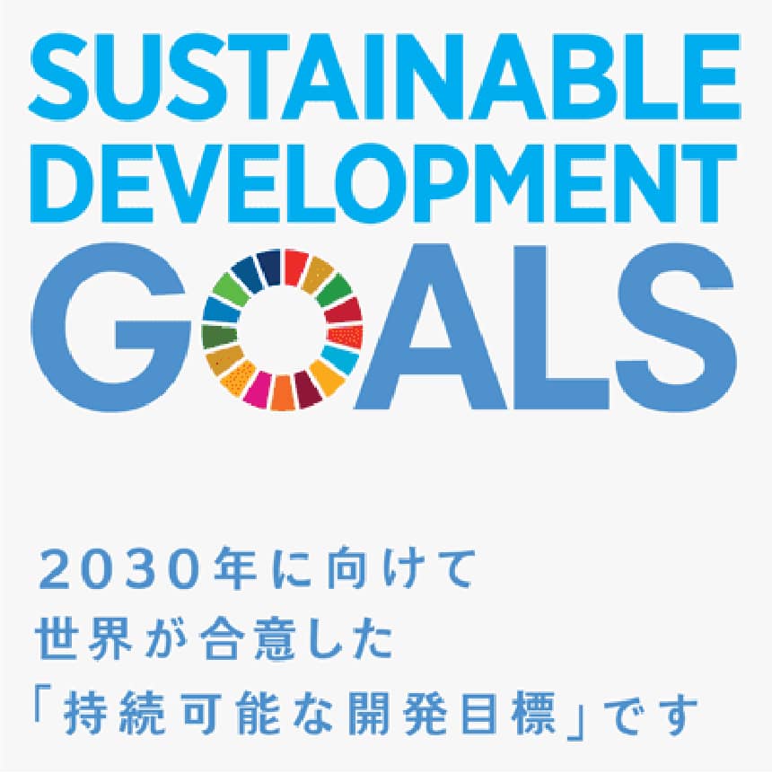 SDGs About